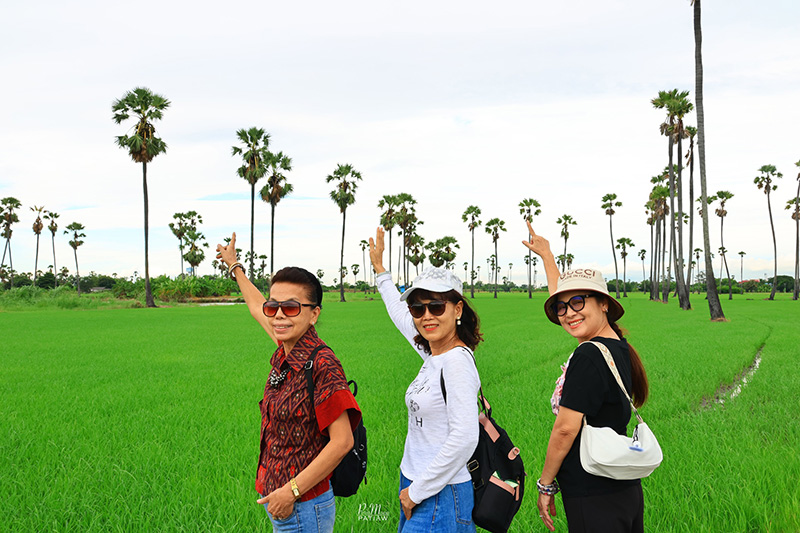 จุดชมวิวดงตาลสามโคก