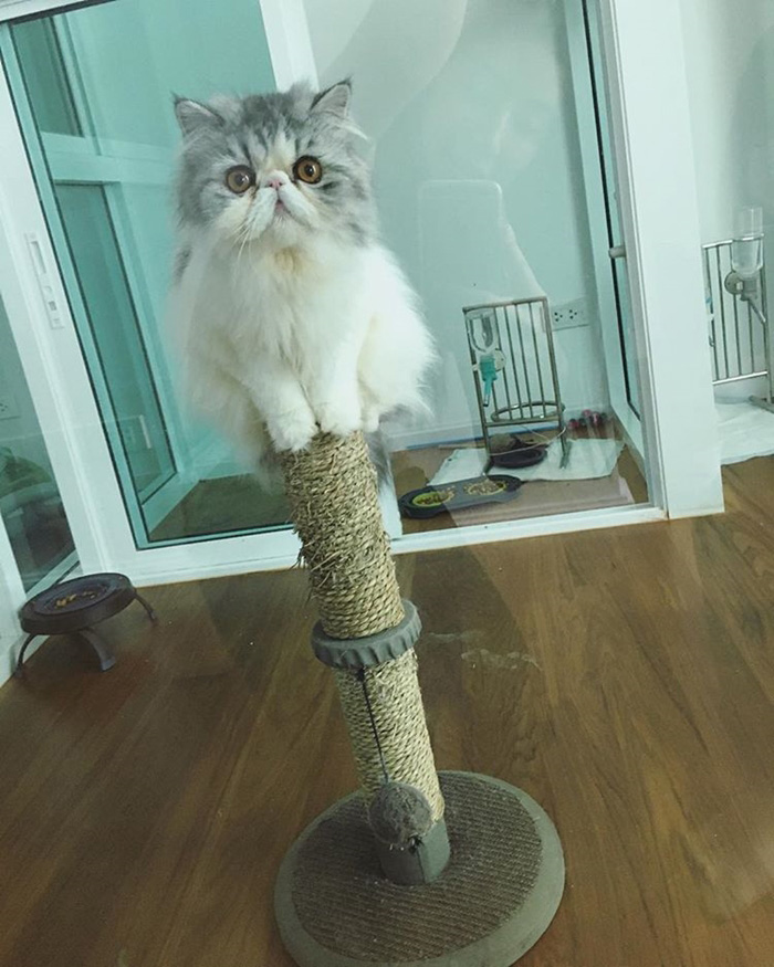 บ้านมิ้นต์ ชาลิดา