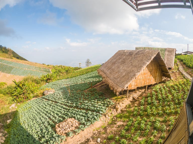 ไร่สตรอว์เบอร์รี ภูทับเบิก รีสอร์ท ที่พักภูทับเบิก