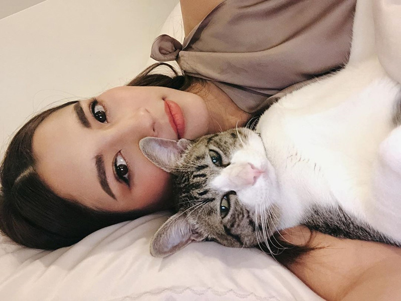 ดาราหญิงชอบเลี้ยงแมว