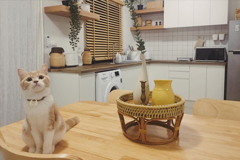 แบบห้องครัวสไตล์โฮมคาเฟ่