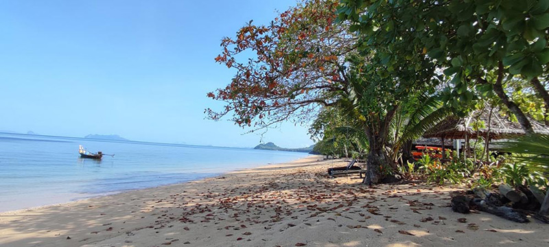 ที่พักเกาะลิบง