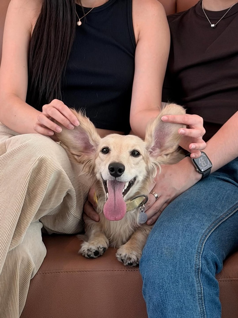 กิต พรอยมน