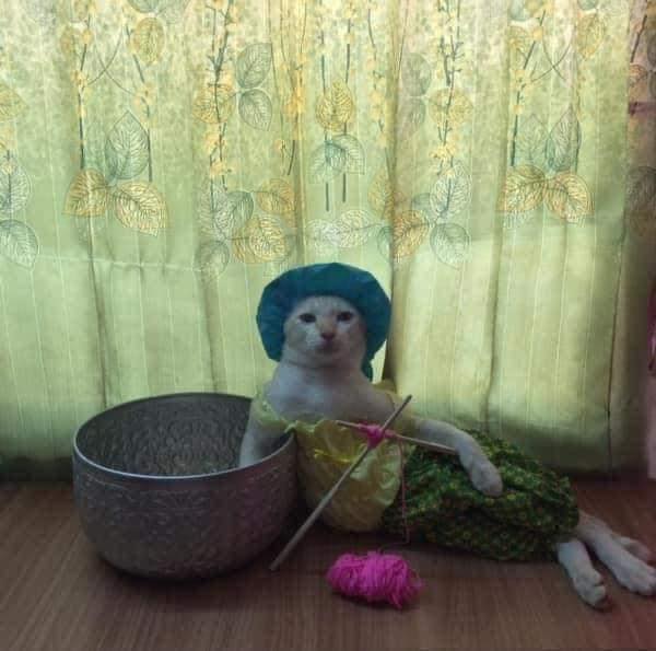 ทำงานบ้าน