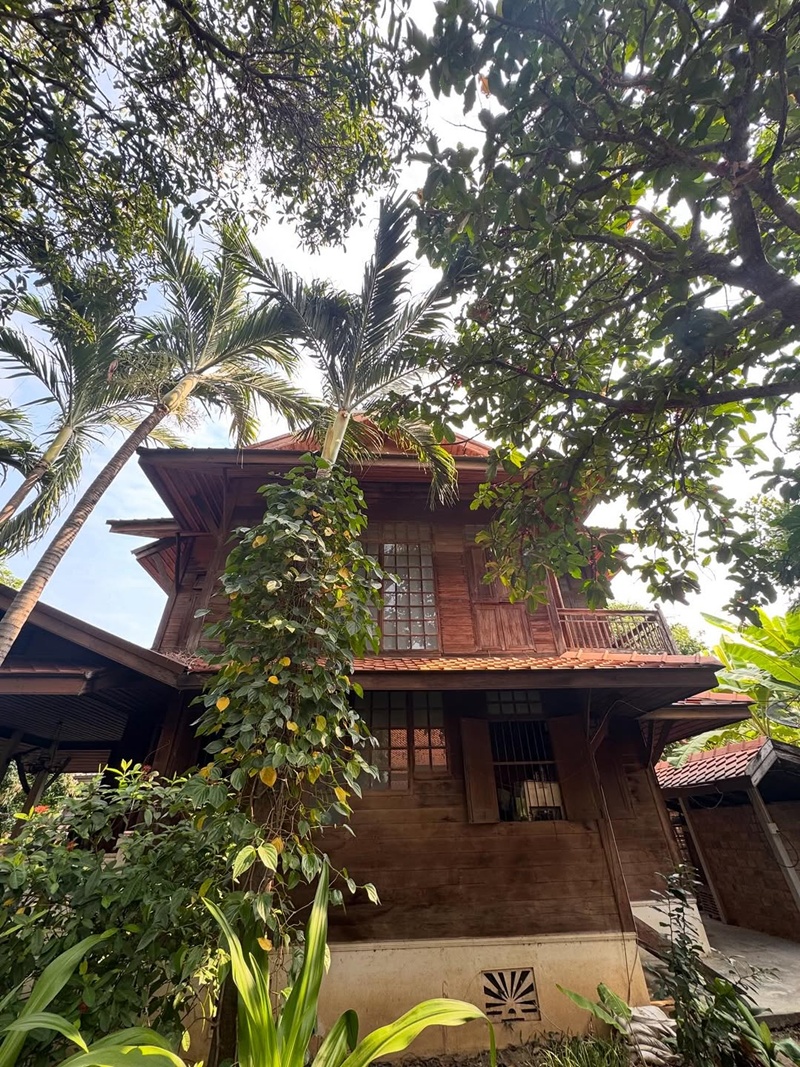 นก สินจัย