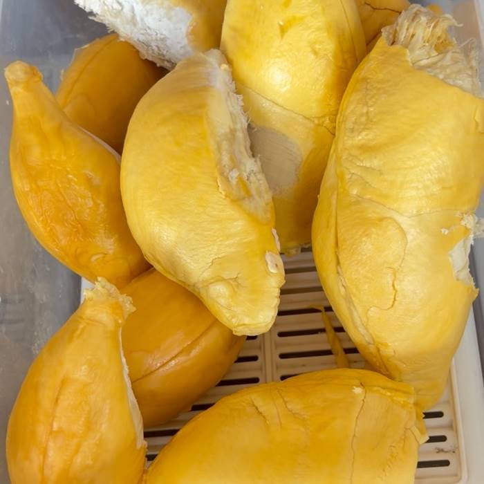  เปิดภาพล่าสุด ชลิต เฟื่องอารมย์  