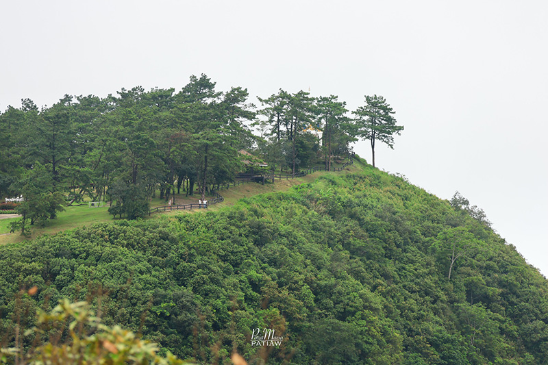 อุทยานแห่งชาติภูเรือ เลย