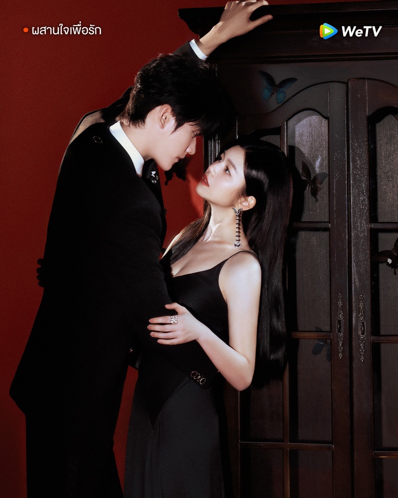 ผสานใจเพื่อรัก เรื่องย่อ Sniper Butterfly ซีรี่ย์จีน