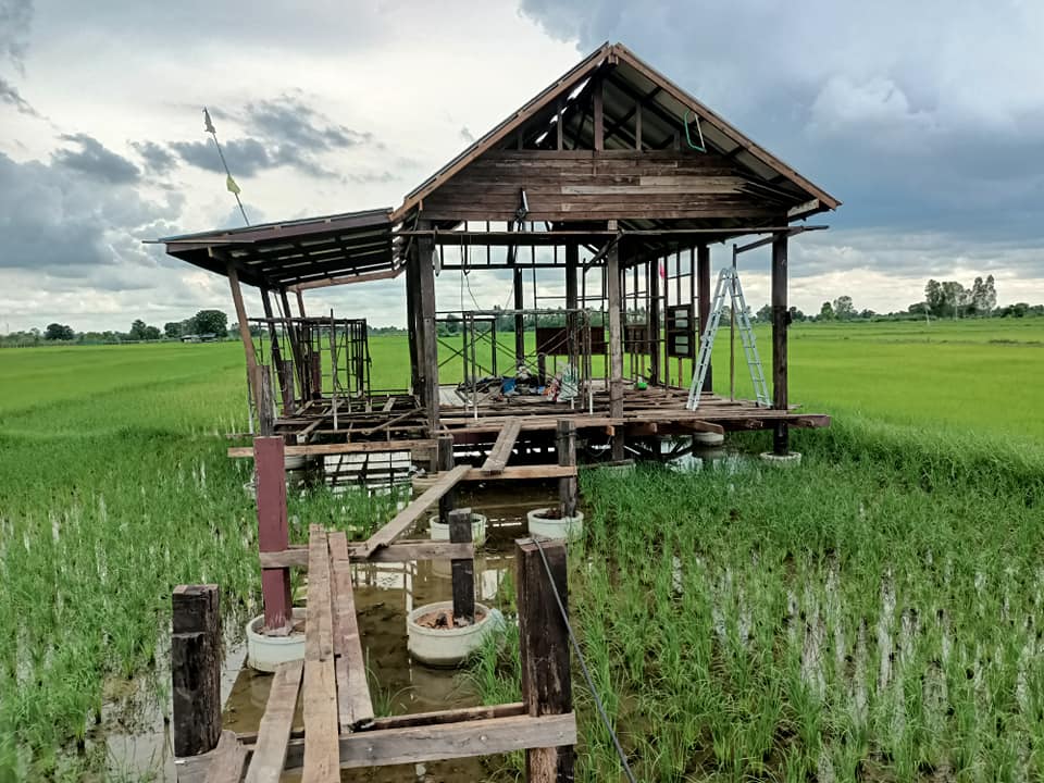 สร้างบ้านกลางทุ่งนา