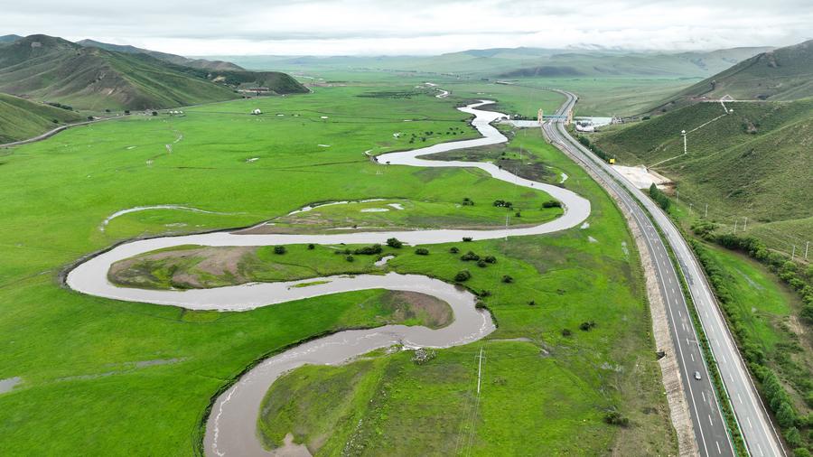 ทุ่งหญ้ามองโกเลีย