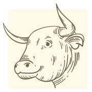 สีเล็บเสริมดวง