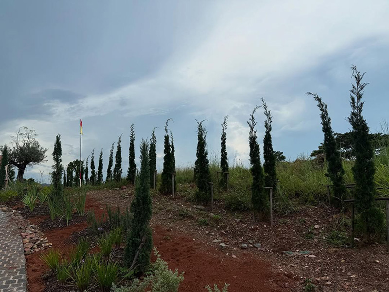 บ้านญาญ่า เขาใหญ่