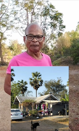 สังข์ ดอกสะเดา