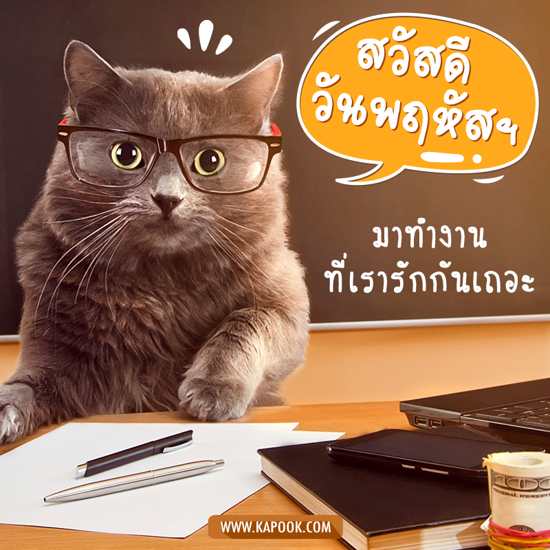 สวัสดีวันพฤหัสฯ มาทำงานที่เรารักกันเถอะ