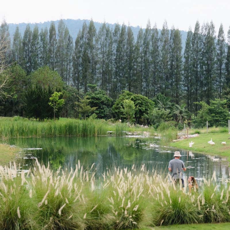 Bucolic (บุ-ค-ลิก) คาเฟ่เขาใหญ่