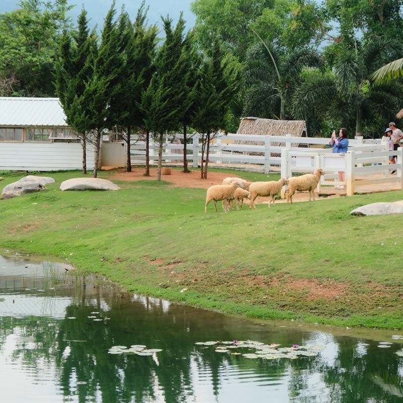 Bucolic (บุ-ค-ลิก) คาเฟ่เขาใหญ่