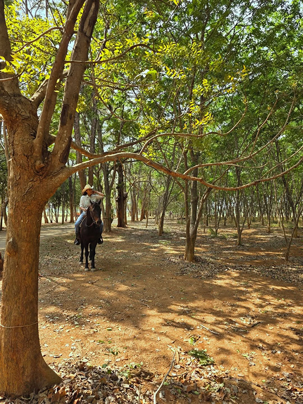 ปราบ บูลกุล