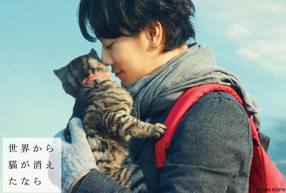 If Cats Disappeared From The World