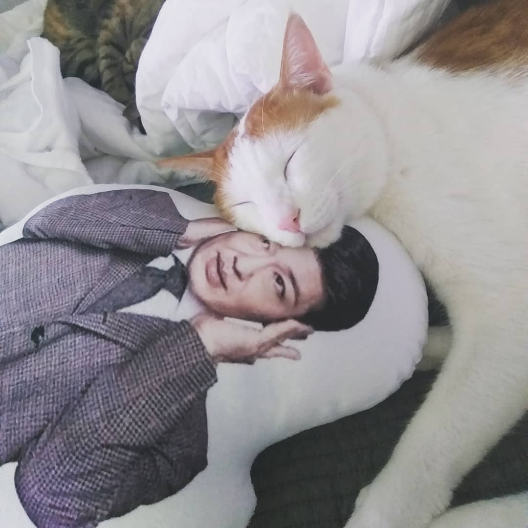 ฮอซองแท