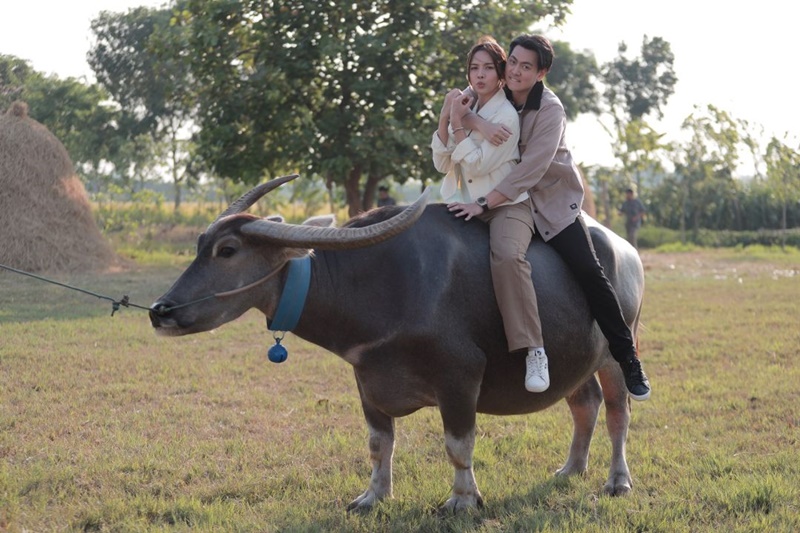 เลดี้ทุ่งกระบือบาล