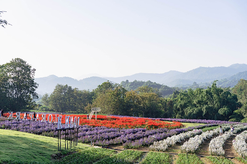 Khlong Lan Flora Park สวนดอกไม้