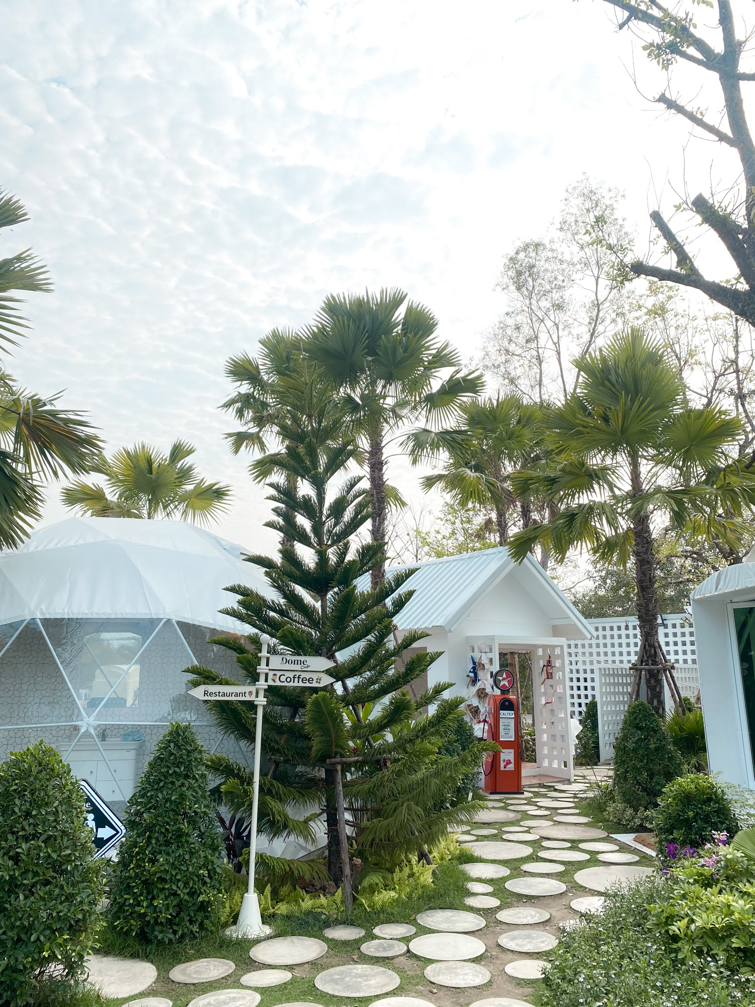 Dome cafe คาเฟ่นครนายก สไตล์สวนสวย ๆ