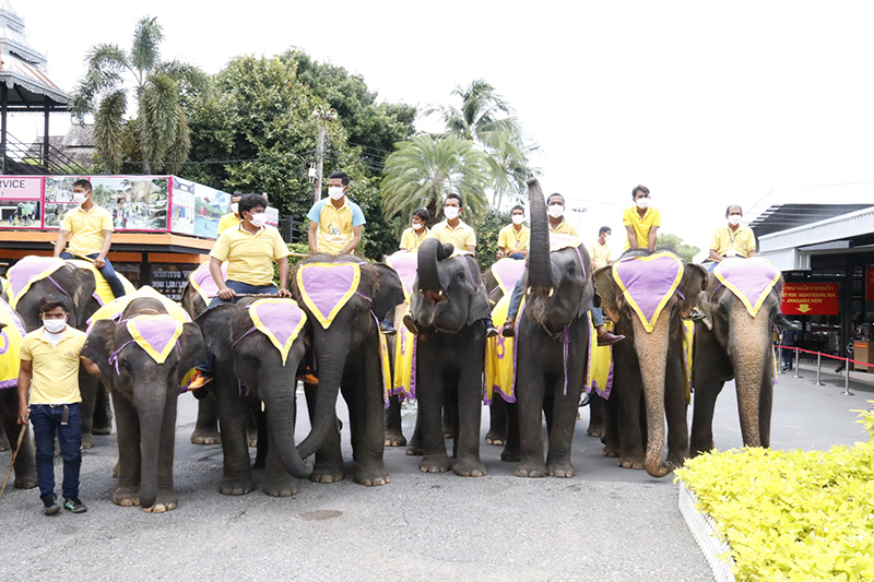 งานเฉลิมพระเกียรติ ในหลวง รัชกาลที่ 10