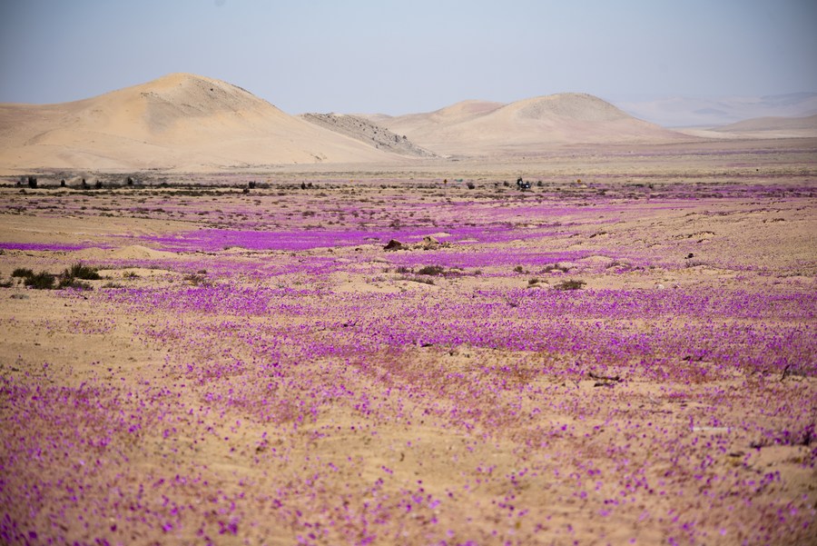 ทะเลทรายอาตากามา