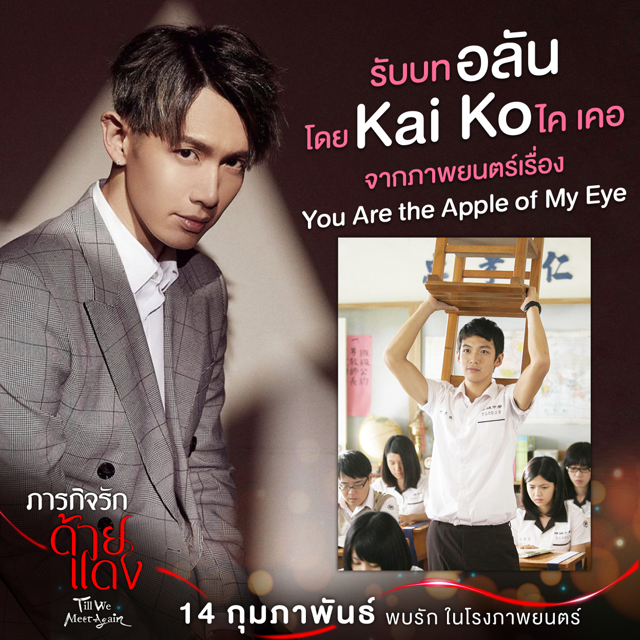 ภารกิจรักด้ายแดง Till We Meet Again
