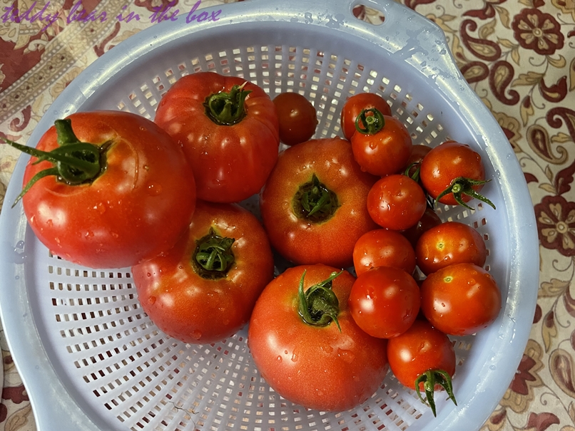 มะเขือเทศไส้บ๊วย