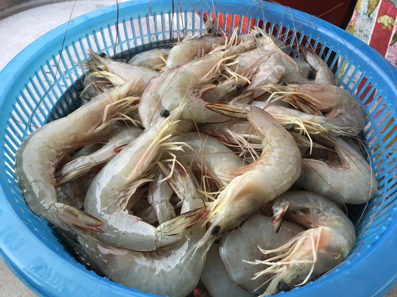 กุ้งราดซอสมะขาม