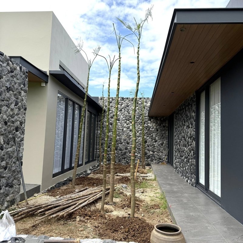 บ้านกลางทุ่งนา