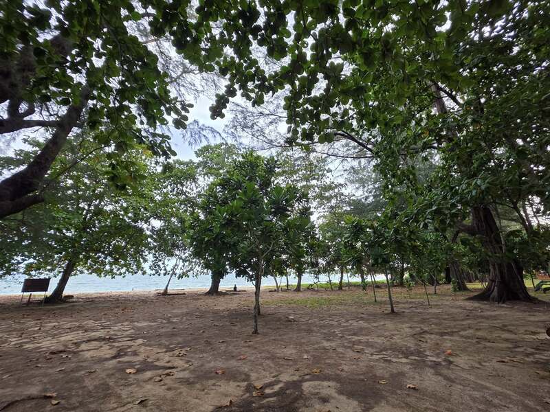 หาดในยาง ภูเก็ต 