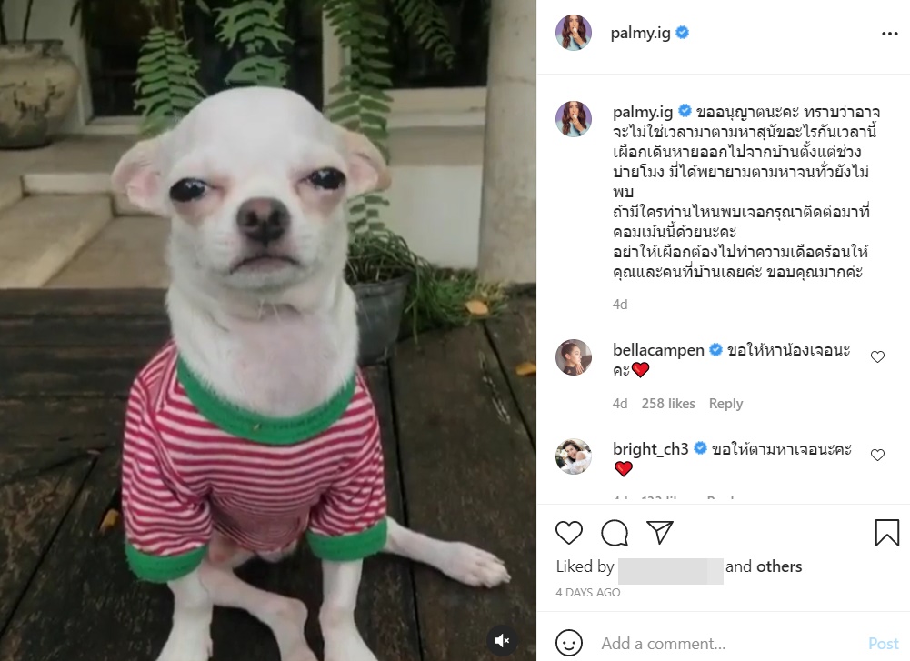 Palmy