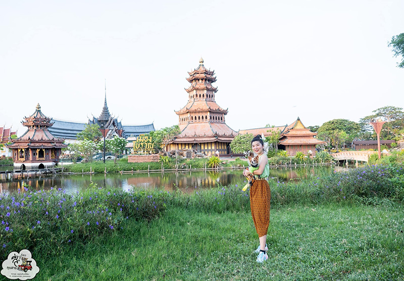งานอยากวิ่งกับหมา  