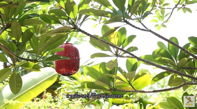 บ้านฮาน่า ฮิวโก้