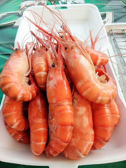 หาดเติมรัก นนทุบุรี