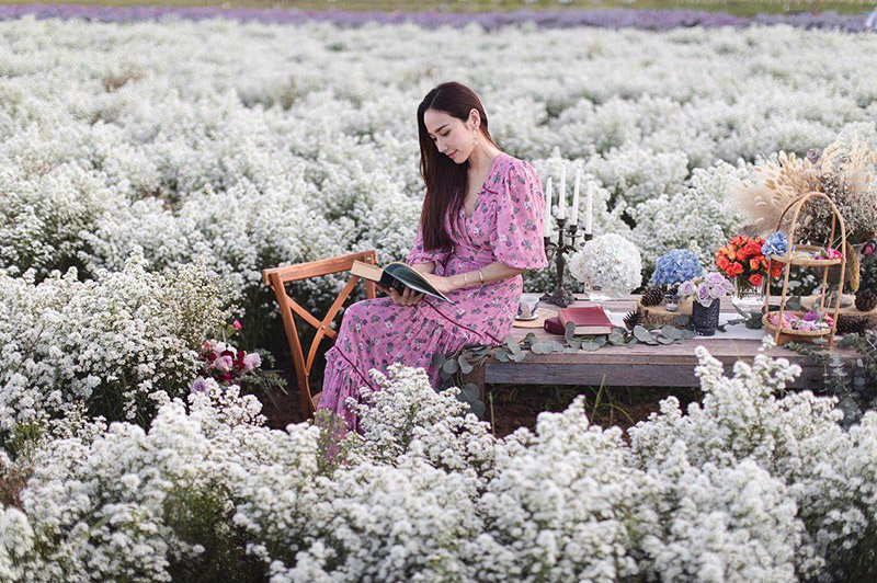 4 นางเอกสาว อั้ม ญาญ่า ใหม่ นาว ท่ามกลางทุ่งดอกไม้เชียงใหม่ งามแบบคูณ 4
