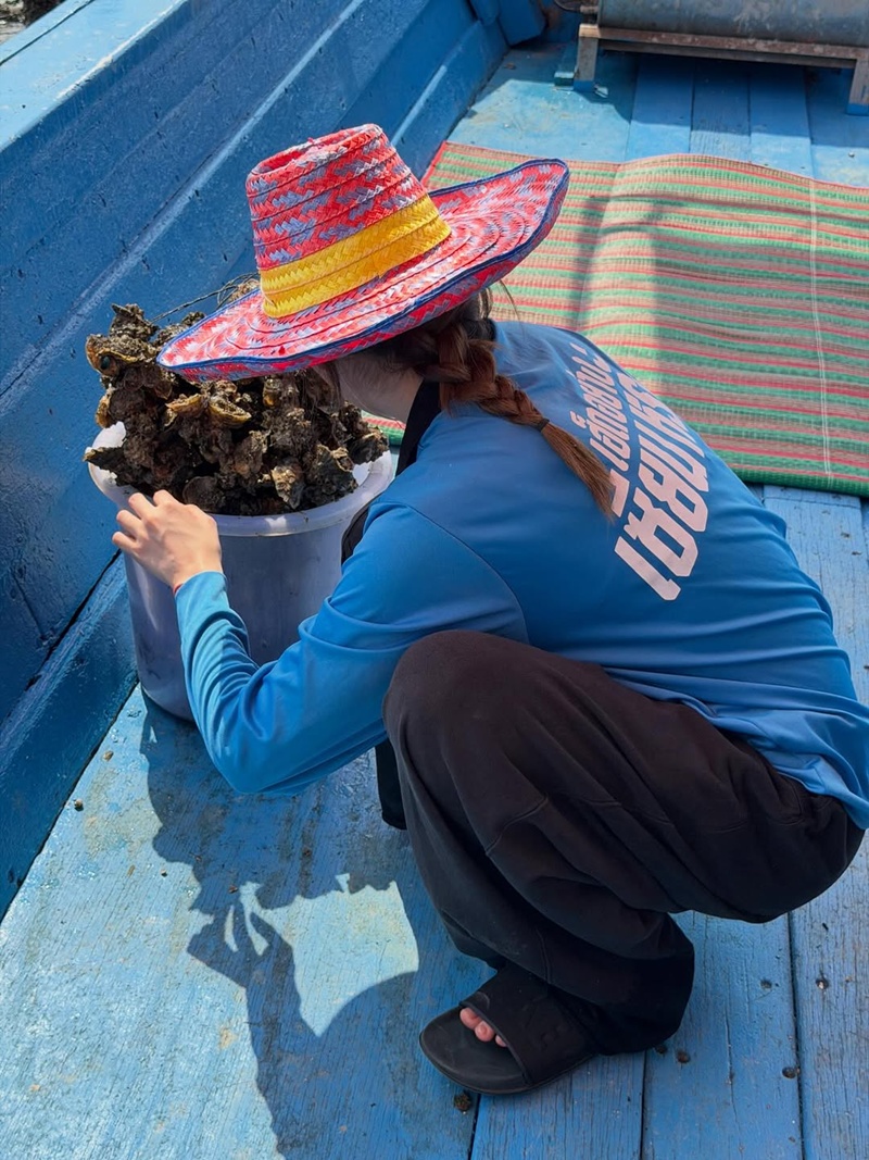 ณิชา ณัฏฐณิชา