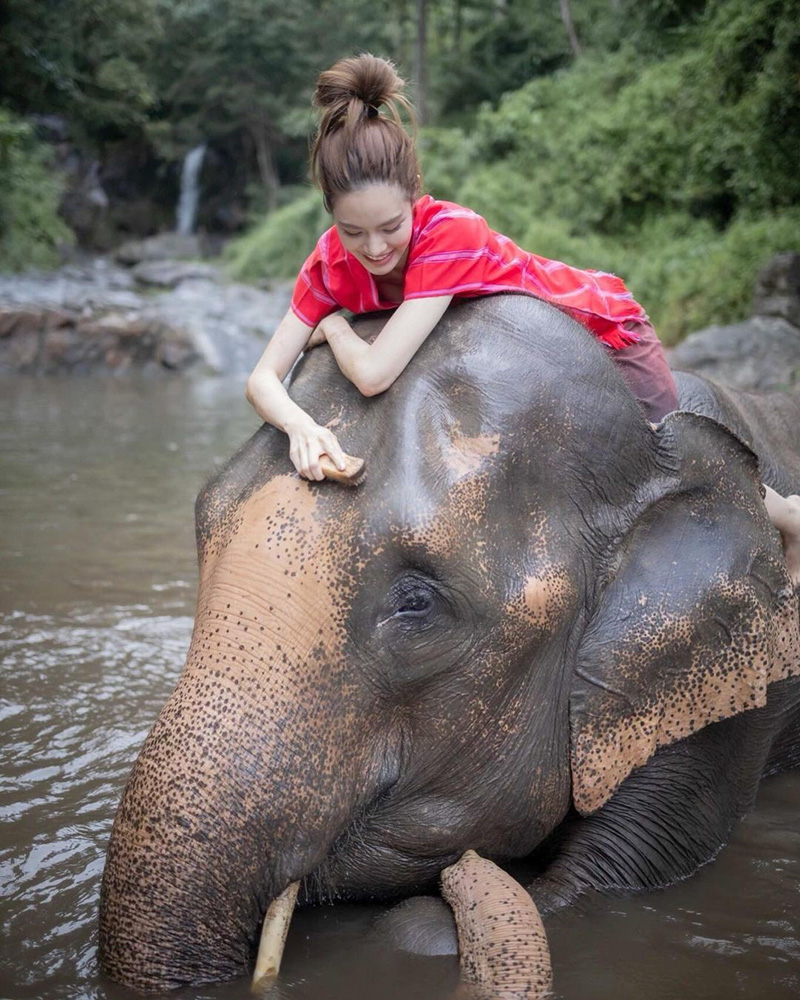 เกรซ กาญจน์เกล้า