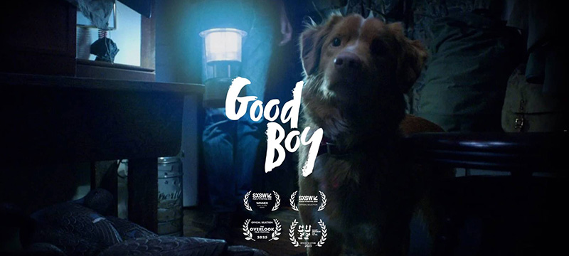 Good Boy หมาเห็นผี