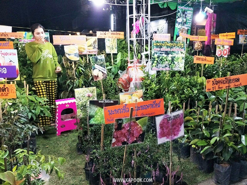 งานเกษตรแฟร์ 2563