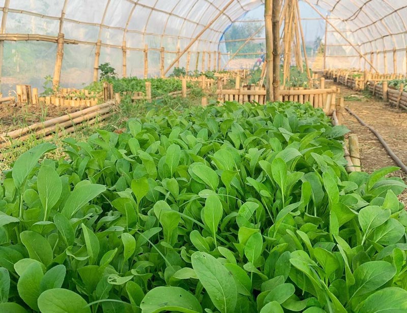 เพ็ชร ฐกฤต