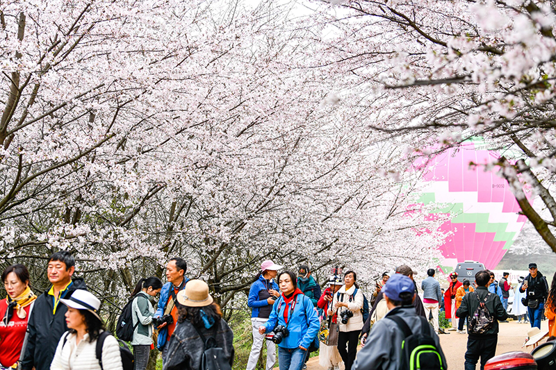 เที่ยวจีน