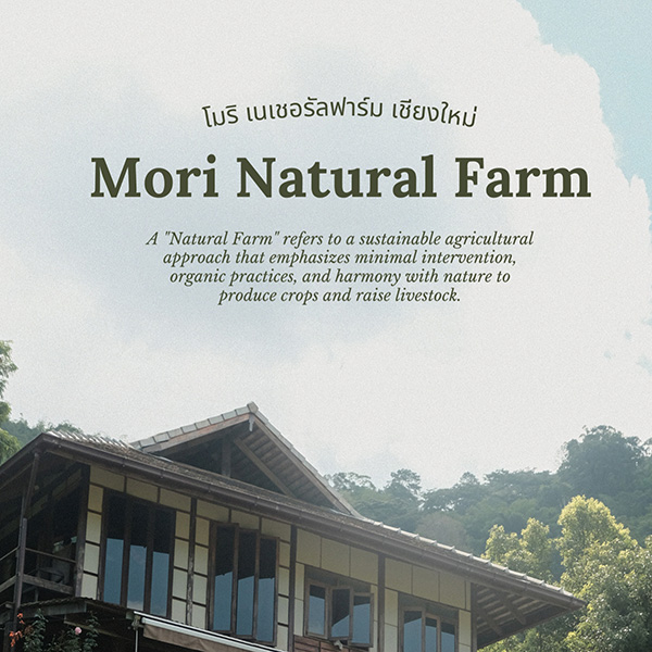 Mori Natural Farm เชียงใหม่ ที่พักแบบฟาร์มสเตย์สไตล์ญี่ปุ่น