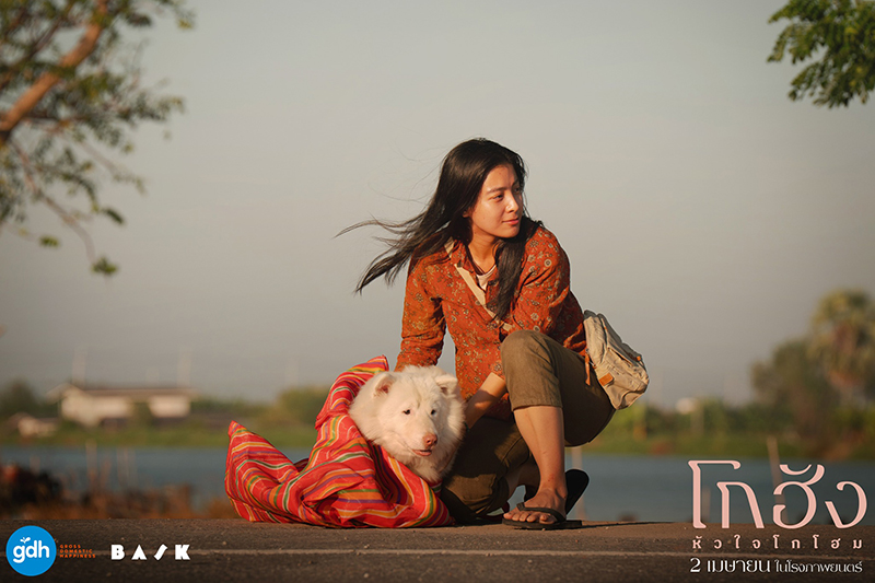 หนัง โกฮัง หัวใจโกโฮม หนังเกี่ยวกับสุนัข หนังใหม่ GDH 2569