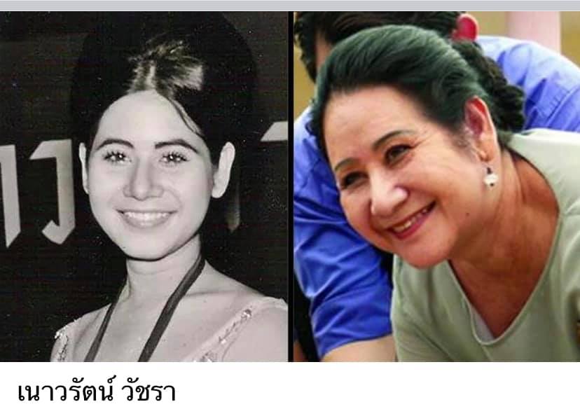 ดาวค้างฟ้าของเมืองไทย
