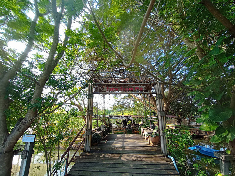 Farm From Me คาเฟ่เด็ก