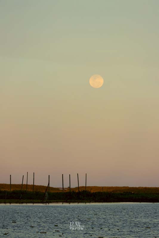 คลองปากประ