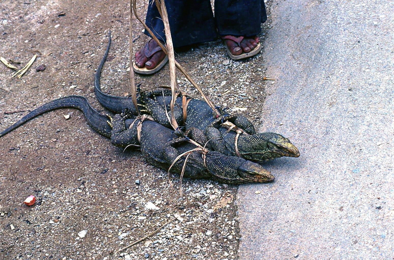 เชียงรายในอดีต